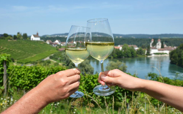 Niemcy: Słabe zbiory winogron, drogie wino