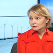 Tarnacka (PSEW): bez ustawy nie wybudujemy wiatraków na morzu