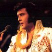 Elvis się gdzieś zaszył...