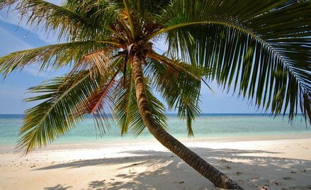 Inne biura podróży mogą ogłosić bankructwo