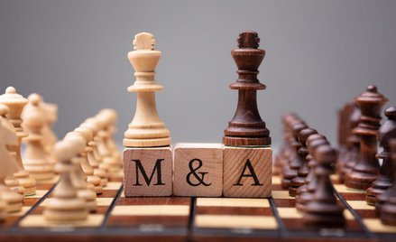 Przewodnik po transakcjach M&A, czyli jak nie kupić kota w worku