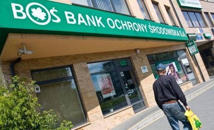 BOŚ na niewielkim plusie