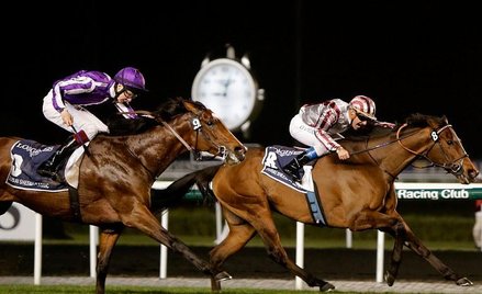 Wyścigi konne w Dubaju