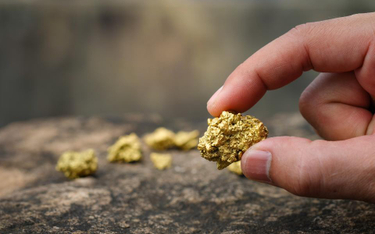 Gigantyczna żyła złota w Indiach