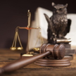 Wawrykiewicz: Warto szanować prawo jak w common law