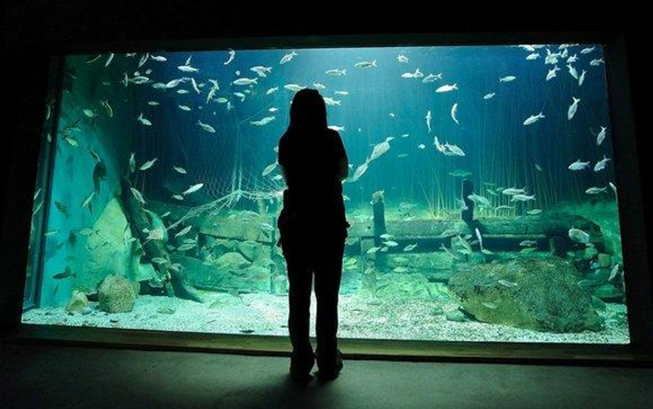 Oceanarium w Stralsund