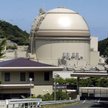 Na 50 reaktorów atomowych w Japonii działają tylko dwa
