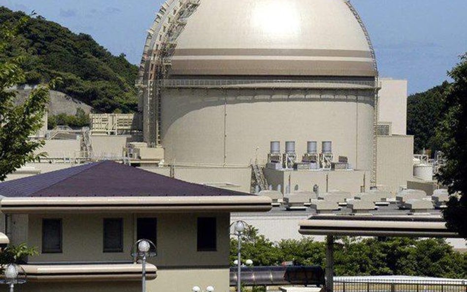 Na 50 reaktorów atomowych w Japonii działają tylko dwa