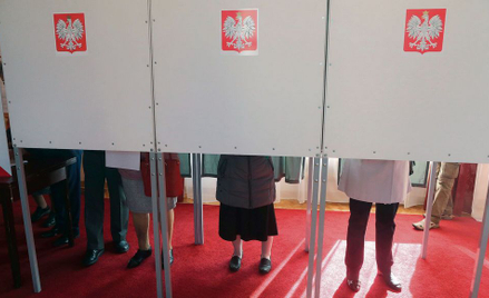 Sondaż: PiS traci, Kukiz'15 i PSL pod progiem wyborczym