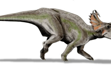 Dinozaur sprzed 76 mln lat cierpiał na nowotwór złośliwy
