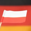 Polska, Niemcy