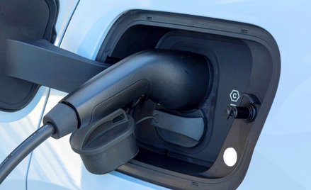 Polski rynek elektryków przełamuje bariery cenowe i zdobywa nowych klientów