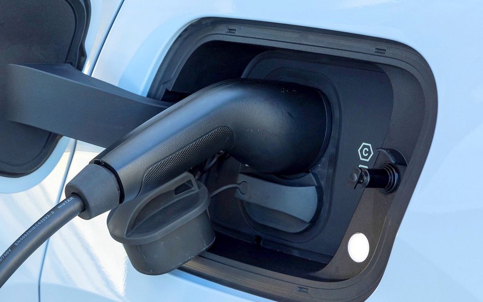 Polski rynek elektryków przełamuje bariery cenowe i zdobywa nowych klientów