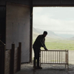 Kadr z filmu "Lamb"