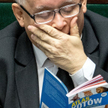 Jarosław Kaczyński nie ukrywa swojej miłości do czworonogów