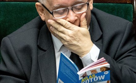 Jarosław Kaczyński nie ukrywa swojej miłości do czworonogów