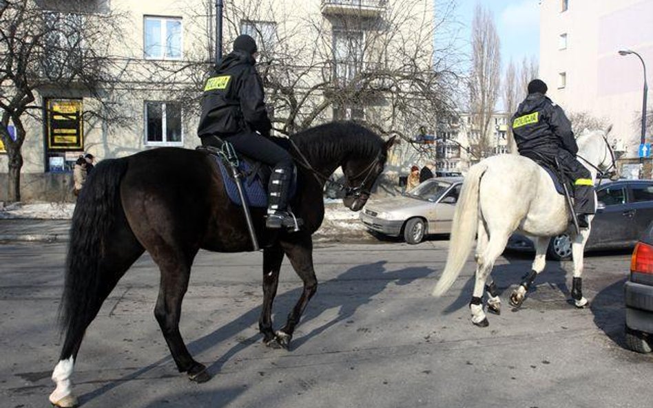 Konie w warszawskiej policji służą od 38 lat