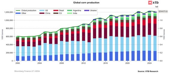 Stany Zjednoczone są największym producentem kukurydzy na świecie. Źródło: Bloomberg FInance LP, USD