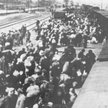 W czerwcu 1940 r. Niemcy zorganizowali pierwszy masowy transport do obozu Auschwitz. Znaleźli się w 