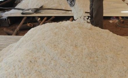 Ryż basmati, hit eksportowy Indii, na którym chcieli zarobić Amerykanie.