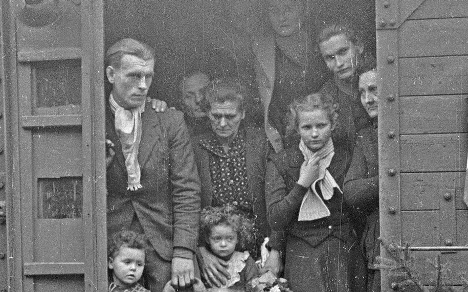 Zawierzyć nowemu krajobrazowi i przyjąć za pewnik, że ten nie jest wyłącznie tymczasową dekoracją. P