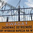 Dlaczego ceny prądu w Polsce rosną