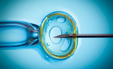 Powinniśmy wołać, że król jest nagi