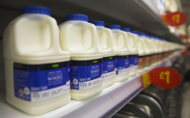 Floryda: Rolnicy już wylewają mleko na pola