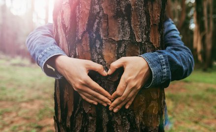 Anna Nowacka-Isaksson: Przykleili się do klimatu