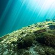 Pod dnem Oceanu Atlantyckiego naukowcy odkryli zasoby słodkiej wody.