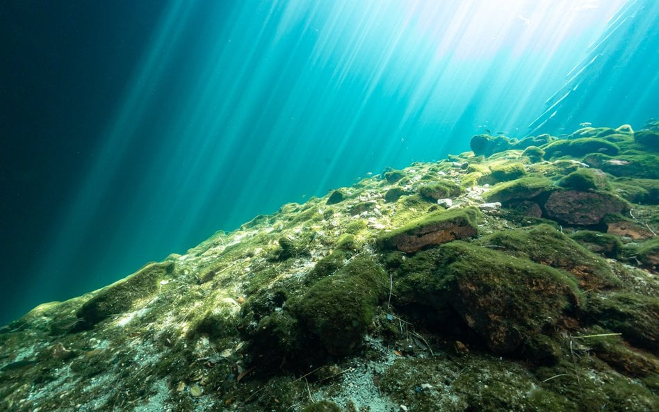Pod dnem Oceanu Atlantyckiego naukowcy odkryli zasoby słodkiej wody.