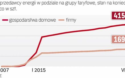 Spada dynamika zmian sprzedawcy energii