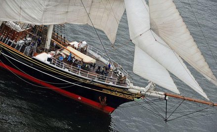 Piraci pokonali naukowców