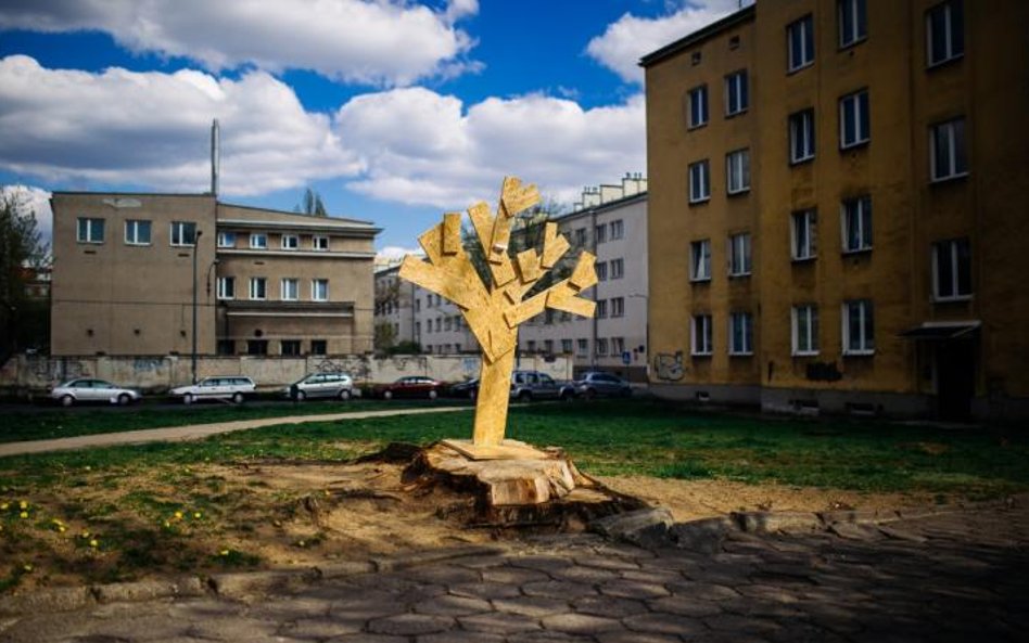 2. miejsce - Rafał Siderski, freelancer