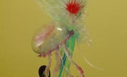 Jest praca dla cukierników