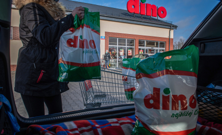 UOKiK uderza w Dino i firmy logistyczne. Zarzuty zmowy na rynku pracy