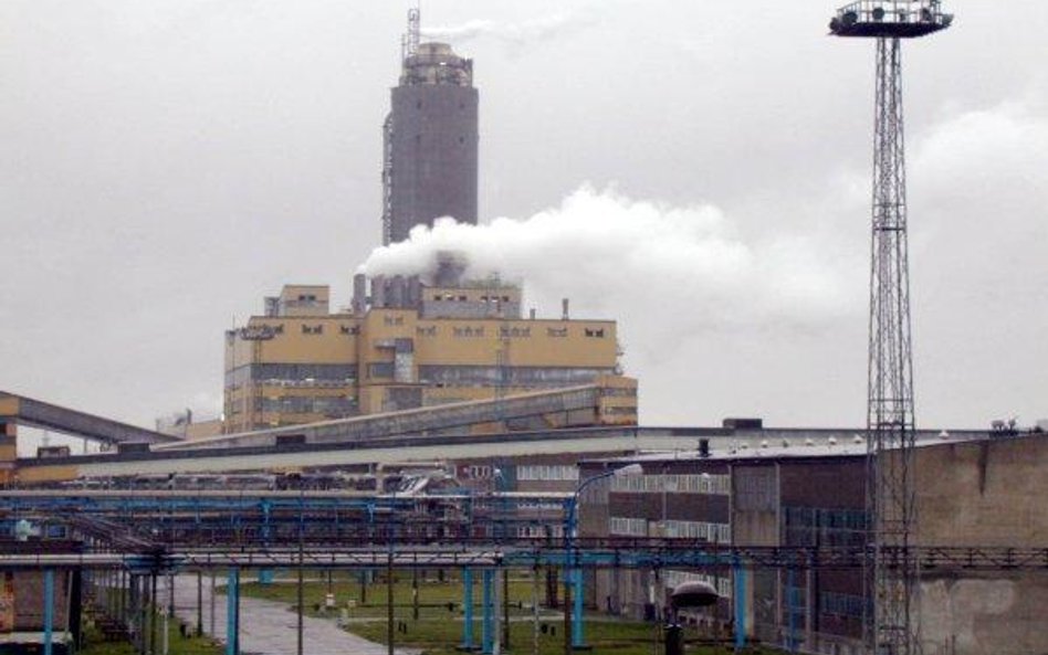 Zysk netto Polic w IV kw. wyniósł 47,4 mln zł