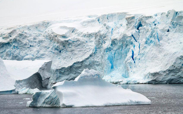 Lody Grenlandii topią się w zastraszającym tempie. Naukowcy mówią o "punkcie krytycznym"