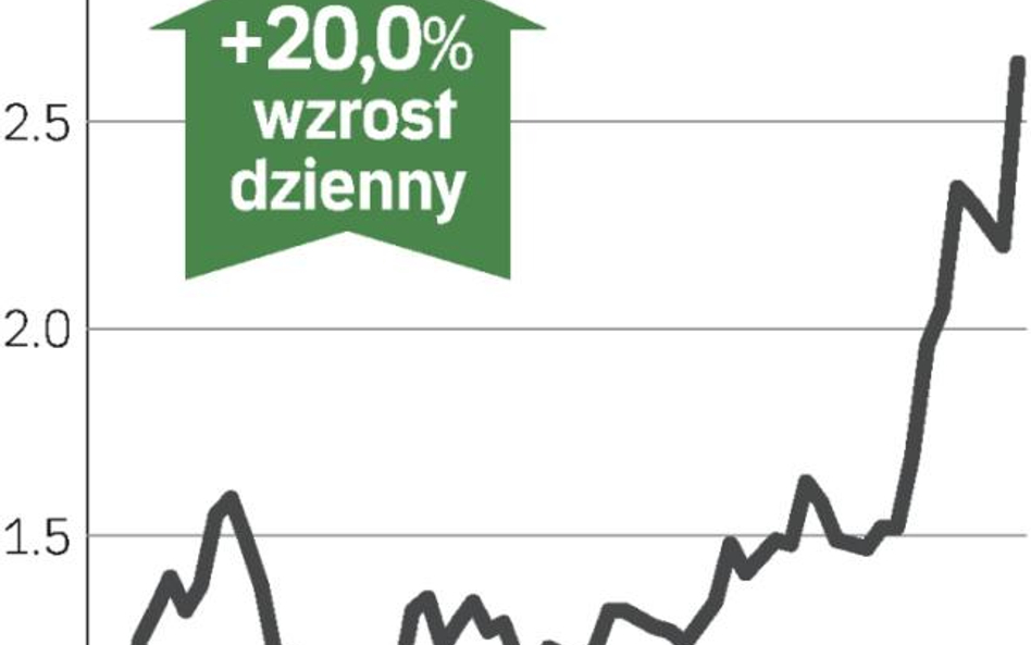 Tajemniczy inwestor podbija kurs