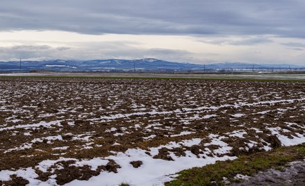 Rekordowo wysokie temperatury w Polsce. Cieplej zimą nie było od dawna
