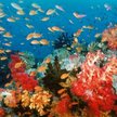 "Ocean przygód 3D"