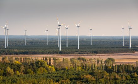 Elektryczne auta i wiatraki nie wystarczyły. Symboliczna walka o klimat w Niemczech