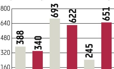 Procad: Rentowność działalności powinna rosnąć