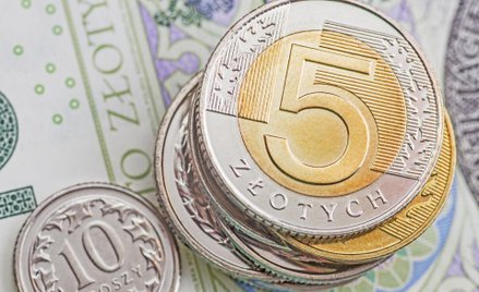Polska waluta bije rekordy słabości