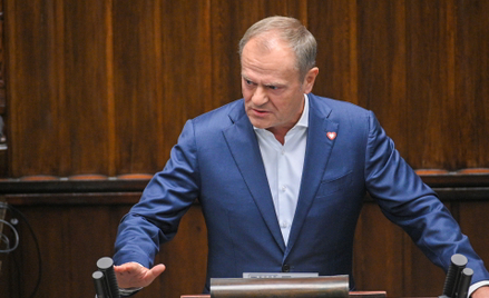 Kataryna: Głupota etapu