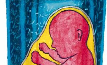 Feministki są sfrustrowane brakiem odzewu wśród kobiet