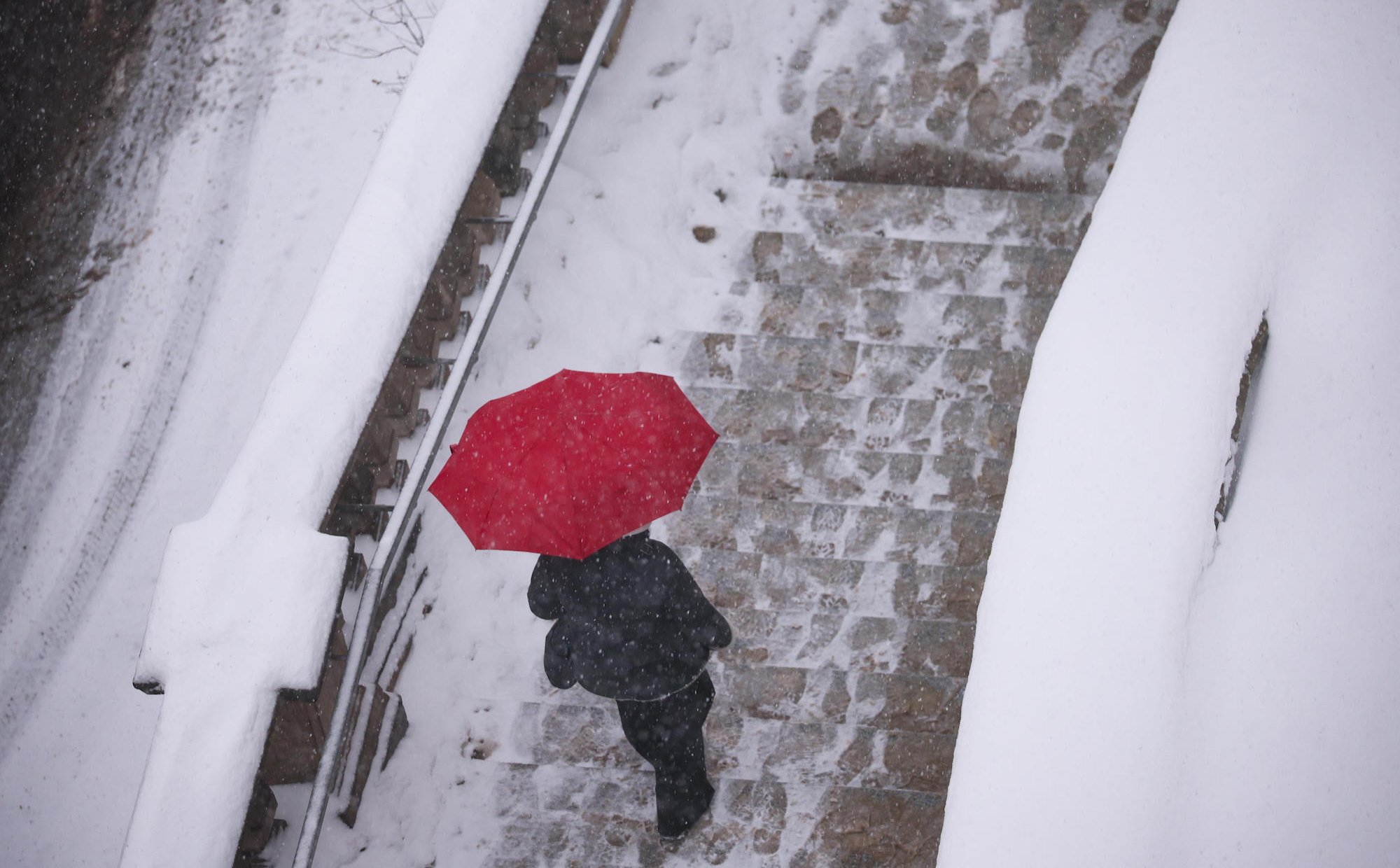 Bogdan Chojnicki: Lekceważenie problemu zmian klimatu to droga donikąd