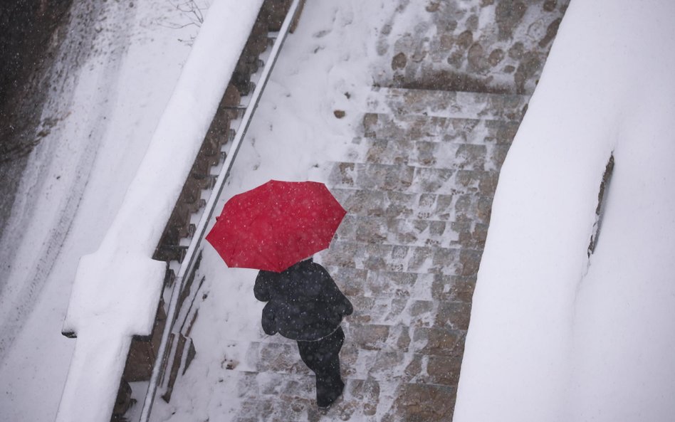 Profesor Bogdan Chojnicki: Zakończyliśmy kolejny rok „na plusie” i po rekordowo ciepłym 2024 r. nie 