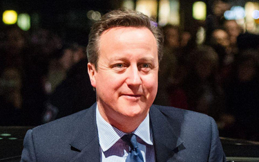 Premier David Cameron jest pod presją mediów brytyjskich bezlitośnie krytykujących porozumienie