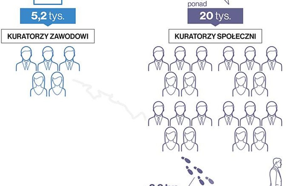 Kuratorzy sądowi w Polsce